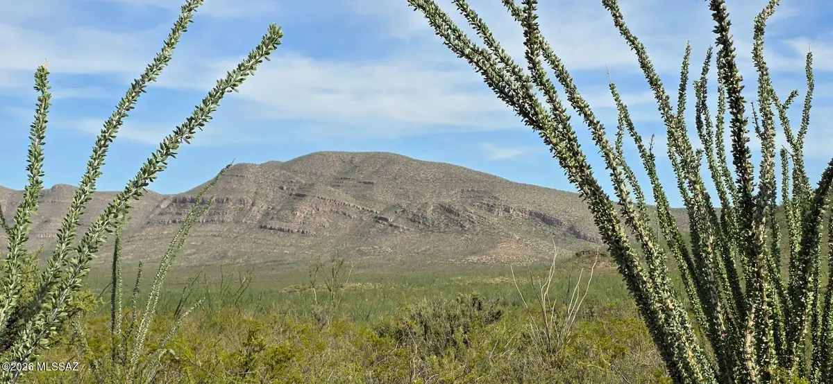 120 E Windmill, Tombstone, AZ 85638 - #1