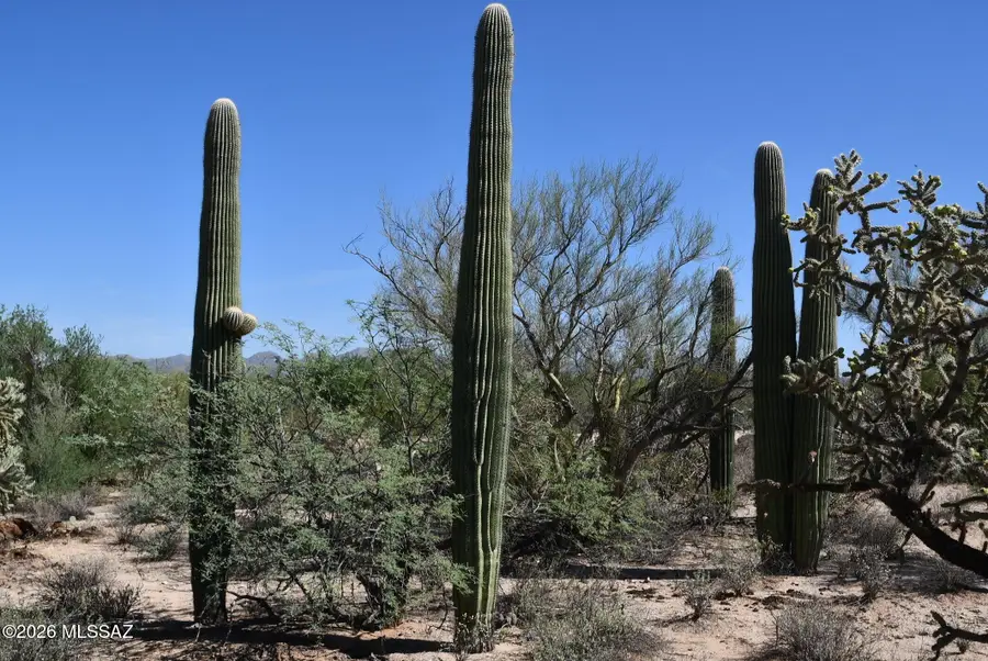 3750+- W Pecos, Tucson, AZ 85742 - #2