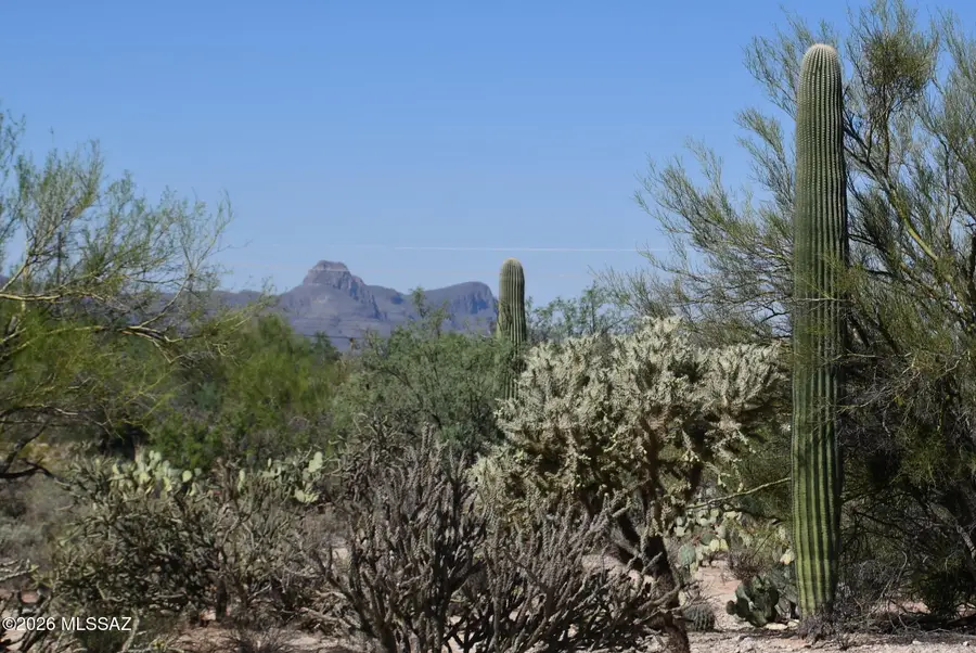 3750+- W Pecos, Tucson, AZ 85742 - #3