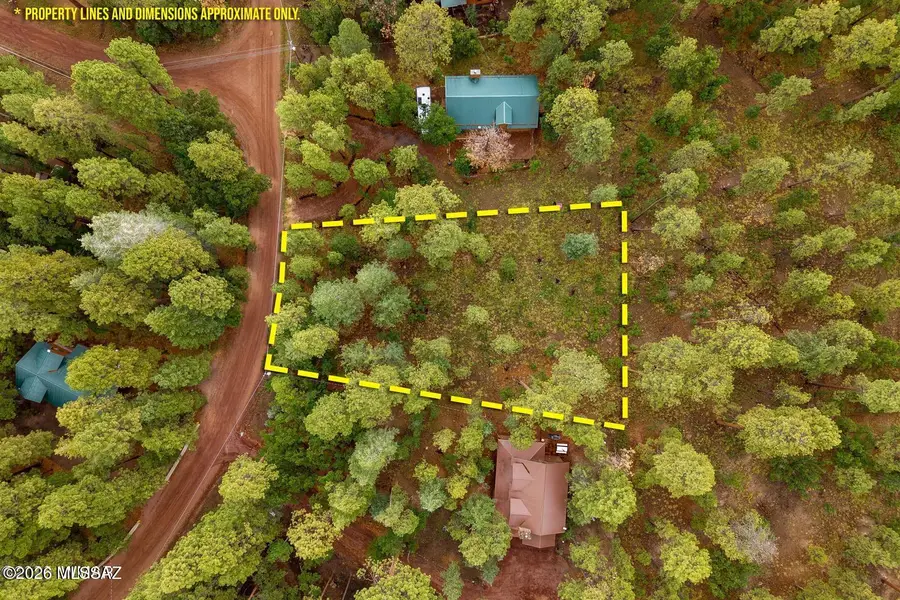8 County Road 2070, Alpine, AZ 85920 - #2