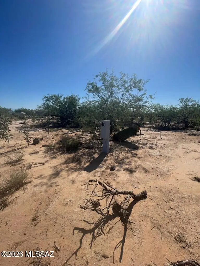 8825 S Marstellar, Tucson, AZ 85736 - #1