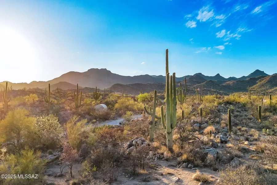 2676 W Cougar Canyon, Tucson, AZ 85755 - #2