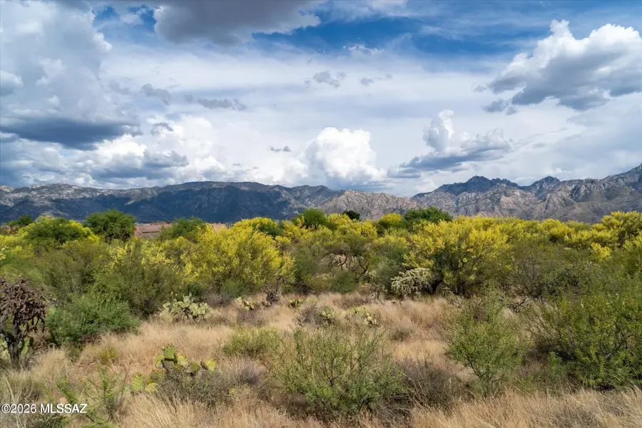 N Oracle, Tucson, AZ 85739 - #2