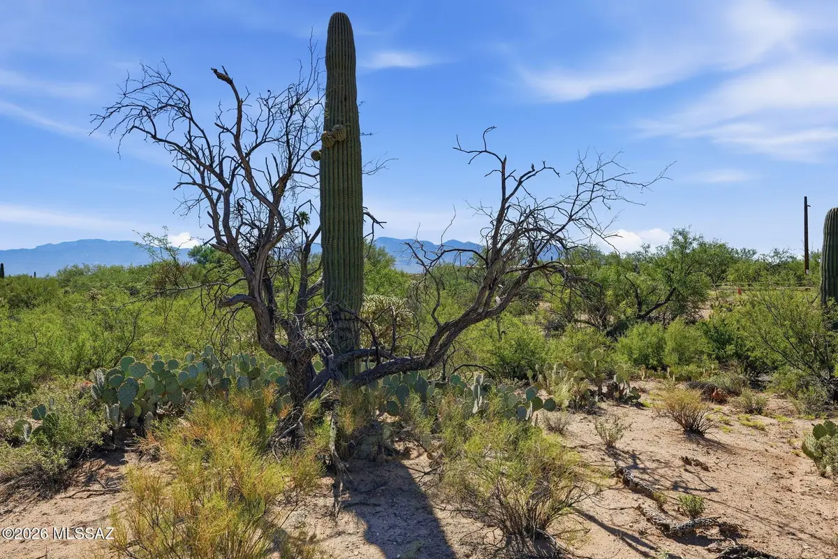 12680 N Caminito Al Sol, Tucson, AZ 85755 - #1