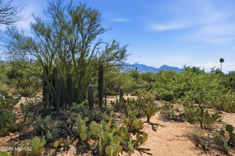 12680 N Caminito Al Sol, Tucson, AZ 85755 - #3