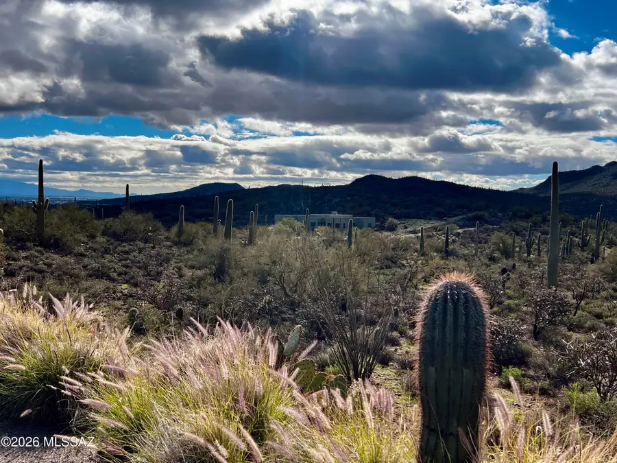 4091 W Gates Creek, Tucson, AZ 85745 - #2