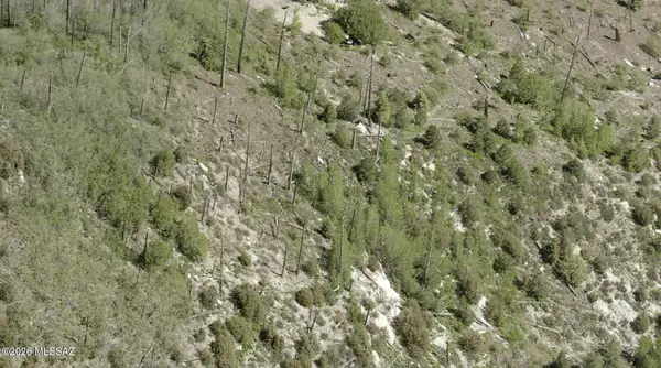 12917 N Winkelman, Mt. Lemmon, AZ 85619