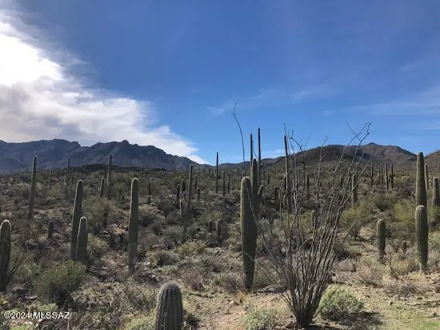 TBD N Broken Springs, Tucson, AZ 85745 - #1