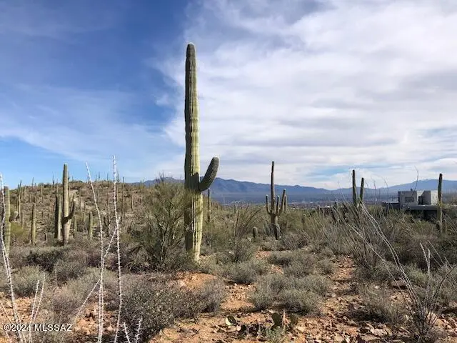 TBD N Broken Springs, Tucson, AZ 85745 - #3