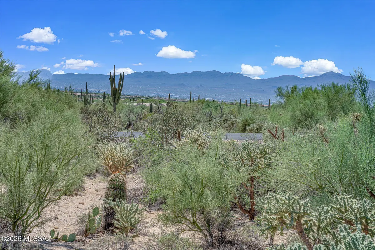 4725 W Lone Dove, Marana, AZ 85658 - #1
