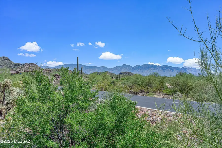 4725 W Lone Dove, Marana, AZ 85658 - #3