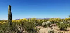 21817 S Escrito, Tucson, AZ 85739