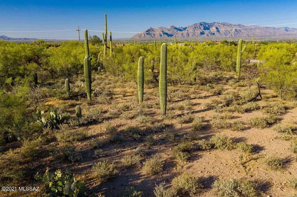 2595 N Lloyd Bush, Tucson, AZ 85745 - #1