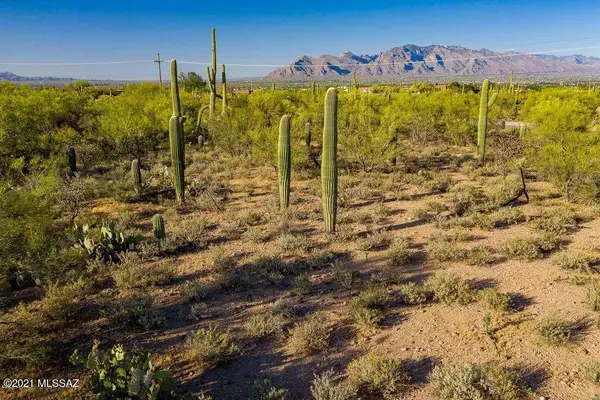 2595 N Lloyd Bush, Tucson, AZ 85745