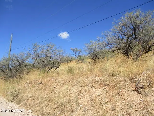 967 Corte Arboles, Rio Rico, AZ 85648 - #3