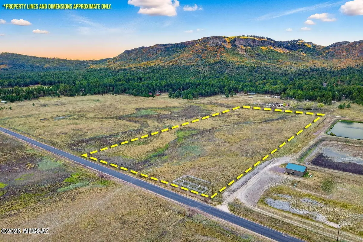TBD Alpine Unsubdivided, Alpine, AZ 85920 - #1