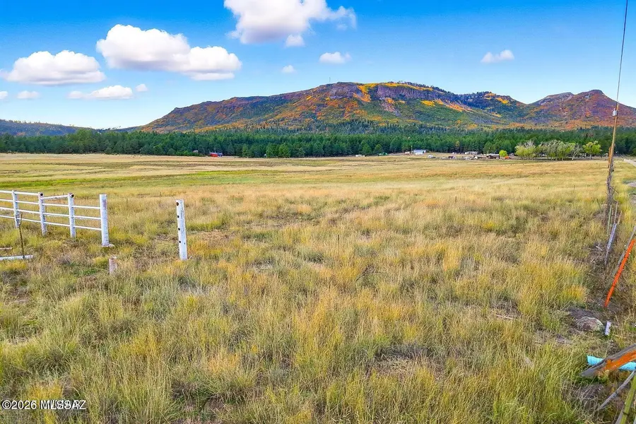 TBD Alpine Unsubdivided, Alpine, AZ 85920 - #2