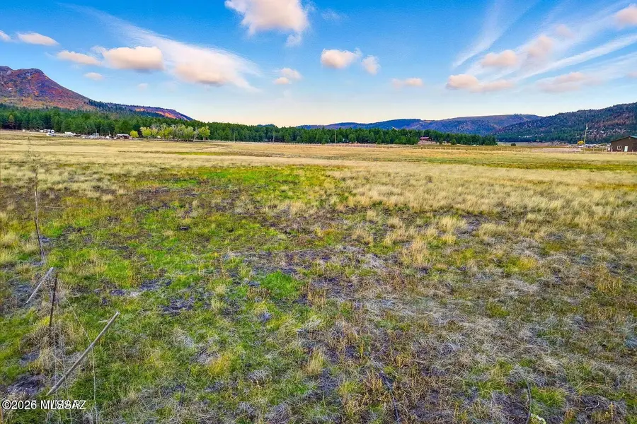 TBD Alpine Unsubdivided, Alpine, AZ 85920 - #3