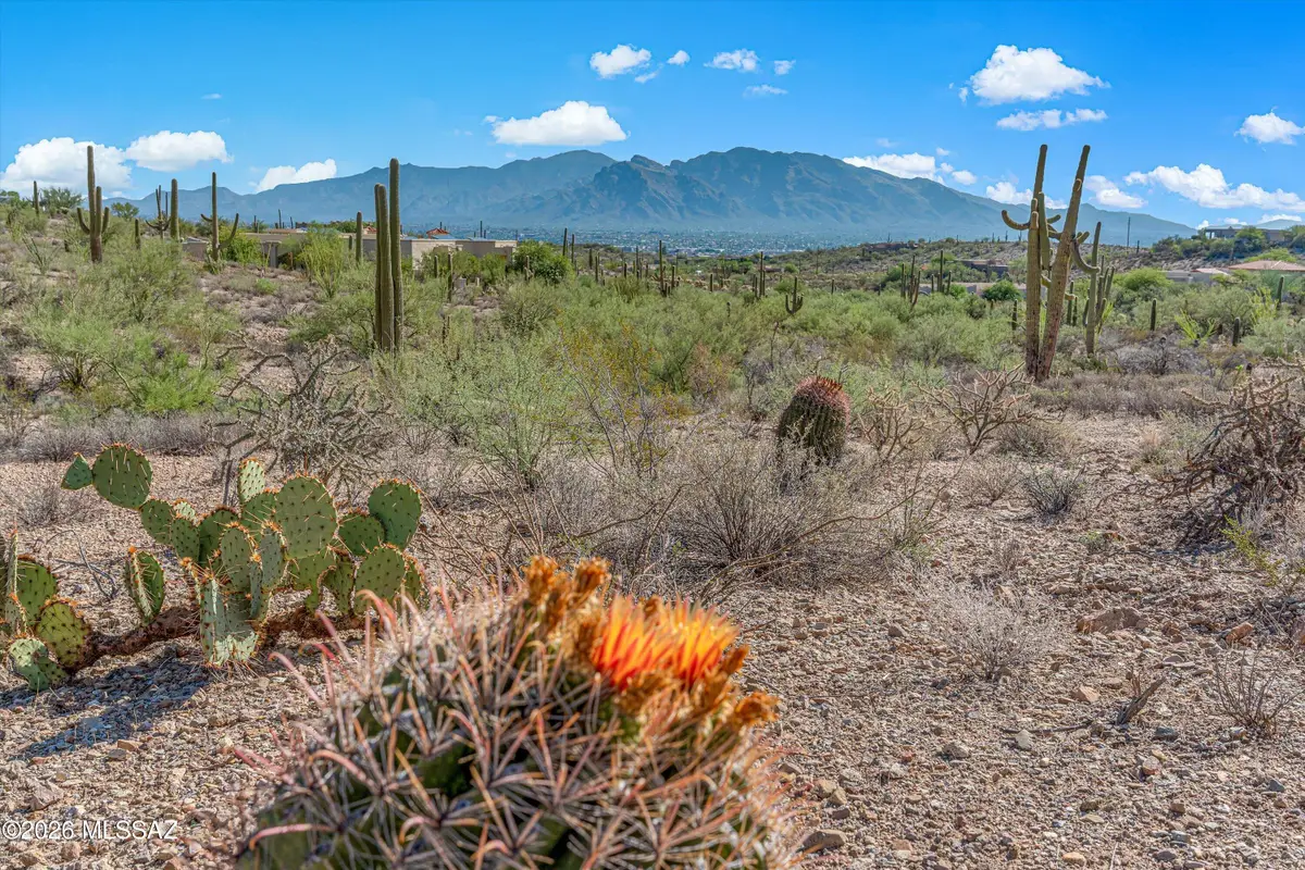 5810 N Abington, Tucson, AZ 85743 - #1