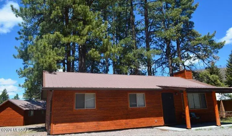 32 1009 Unit 10 (cabin 90), Greer, AZ 85927 - #1