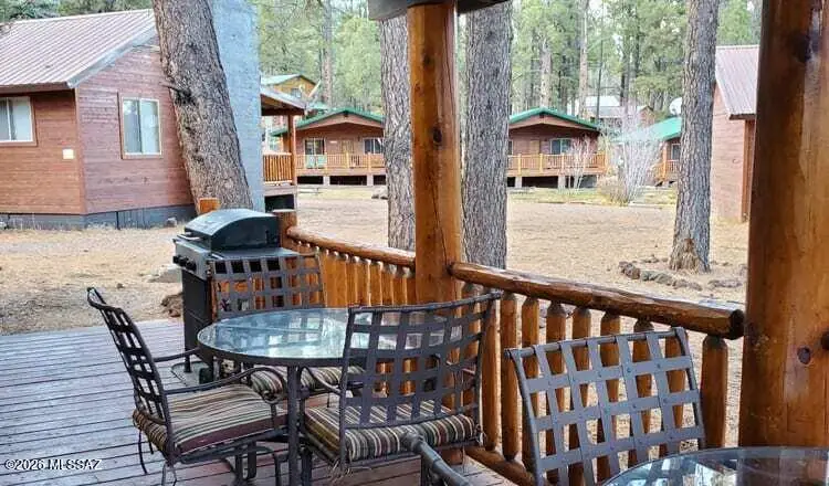 32 1009 Unit 10 (cabin 90), Greer, AZ 85927 - #3