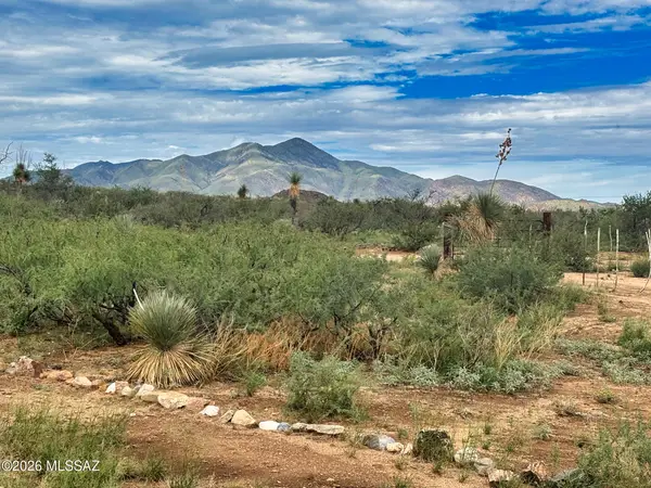TBD S Mulkins Ranch, Bowie, AZ 85605