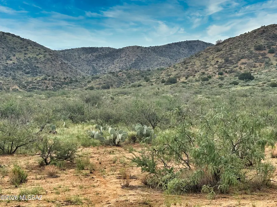TBD S Mulkins Ranch, Bowie, AZ 85605 - #2