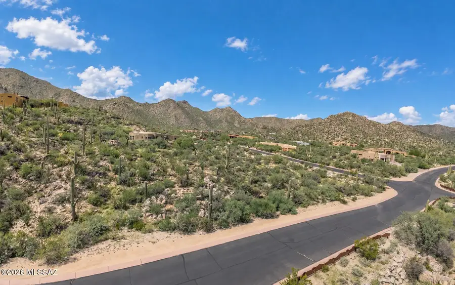 15155 N Dove Canyon Pass, Marana, AZ 85658 - #2
