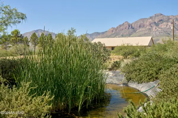 294 W Sanford, Portal, AZ 85632
