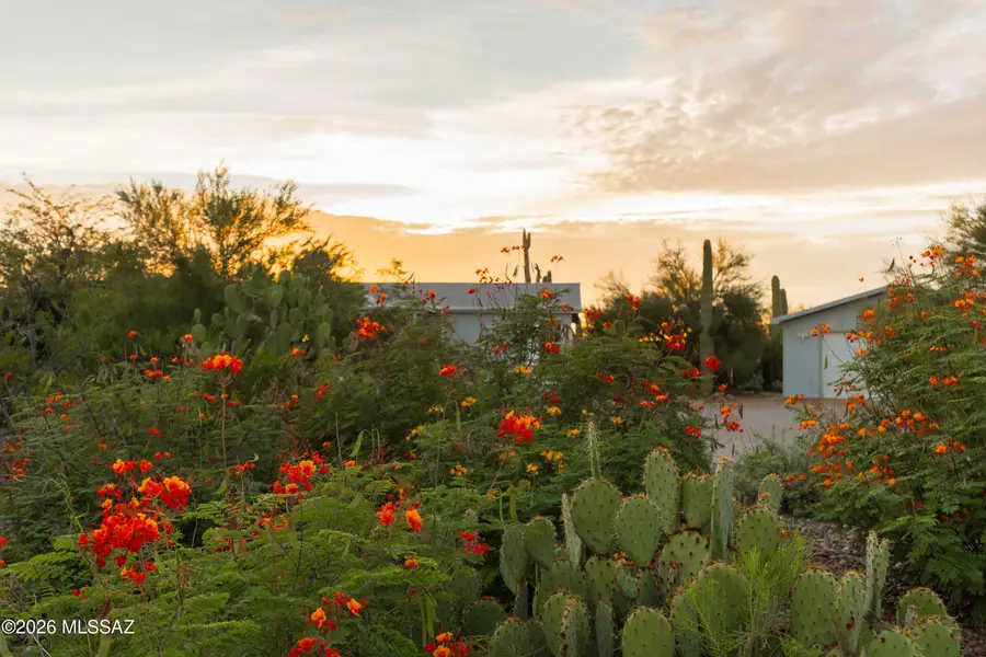 3496 S Richardson, Tucson, AZ 85735 - #2