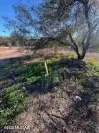 727 Tiger, Mammoth, AZ 85618 - #3