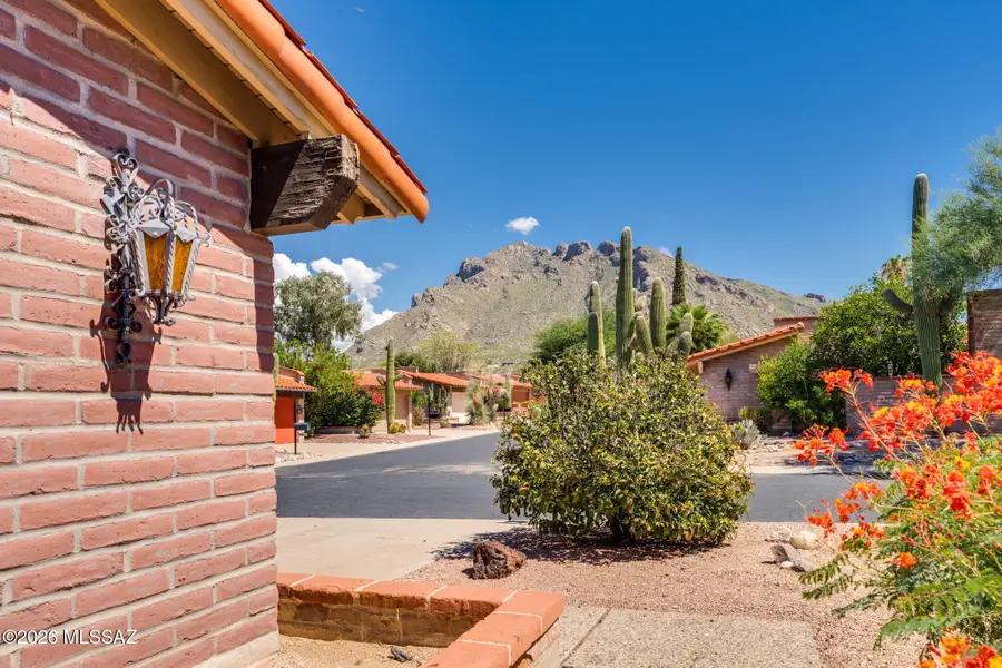8585 N Via Tioga, Tucson, AZ 85704 - #3