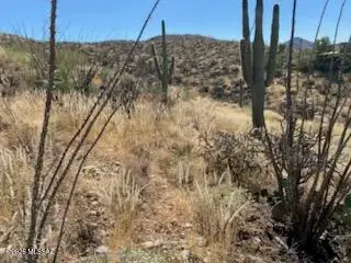 TBD S Pistol Hill, Vail, AZ 85641 - #2