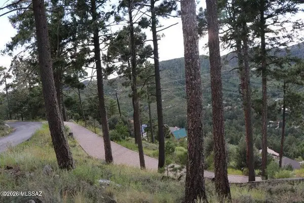 12718 N Upper Loma Linda, Mt. Lemmon, AZ 85619