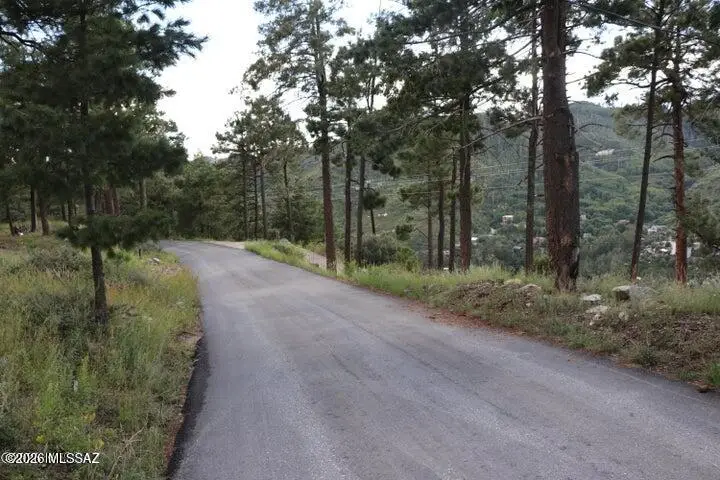 12718 N Upper Loma Linda, Mount Lemmon, AZ 85619 - #2