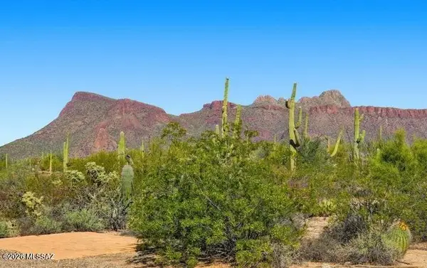 10306 W Rudasill, Tucson, AZ 85743