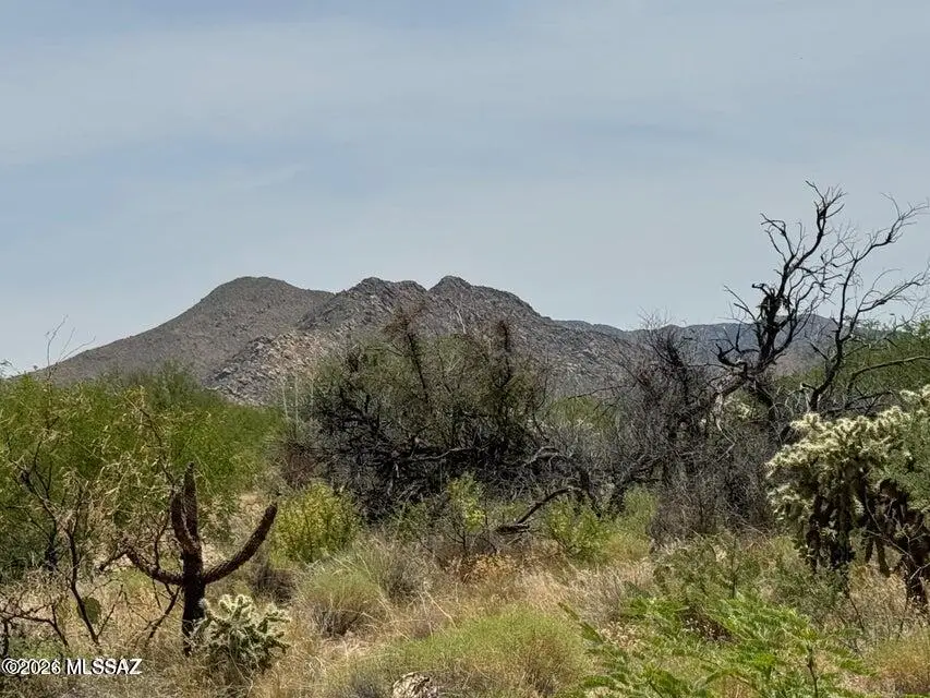 14707 W Crestwood, Tucson, AZ 85736 - #2