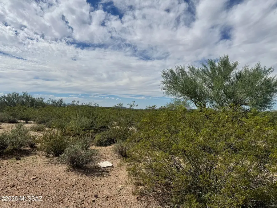 000 Chuck Wagon Ranch, Saddlebrooke, AZ 85739 - #2
