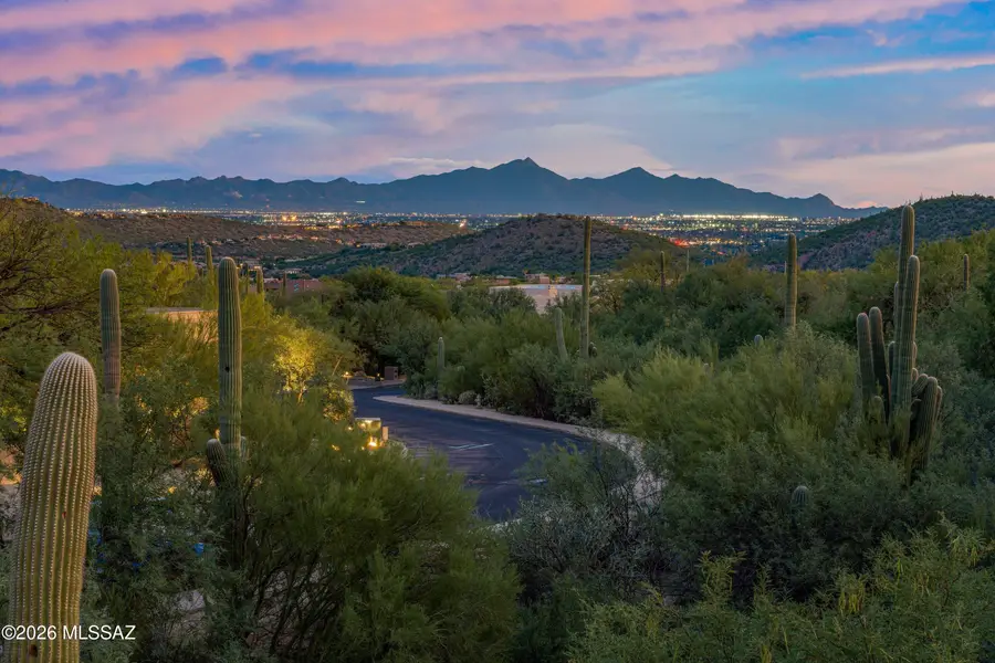 6211 N Desert Moon, Tucson, AZ 85750 - #3