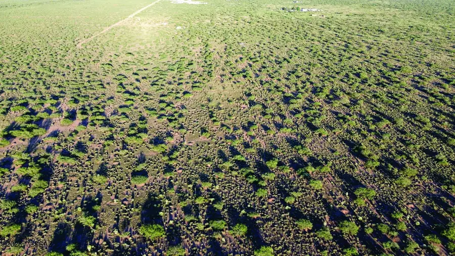 4.02 Acres E Bumble Bee, Pearce, AZ 85625 - #3