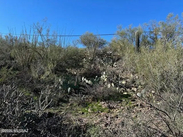 213 N Boulder, Tucson, AZ 85745 - #3