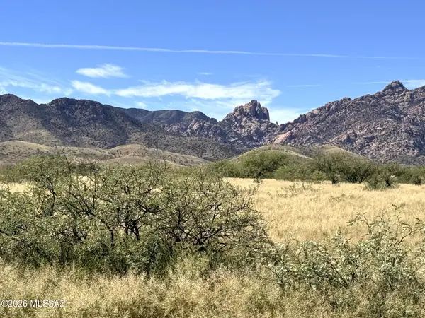 TBD W Euclid, Pearce, AZ 85625