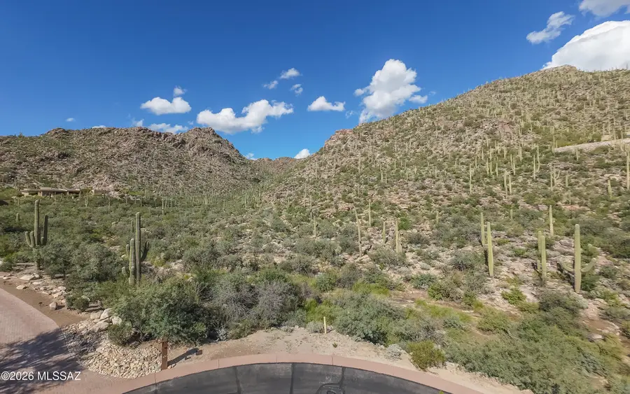 13768 N Cactus Valley, Marana, AZ 85658 - #2