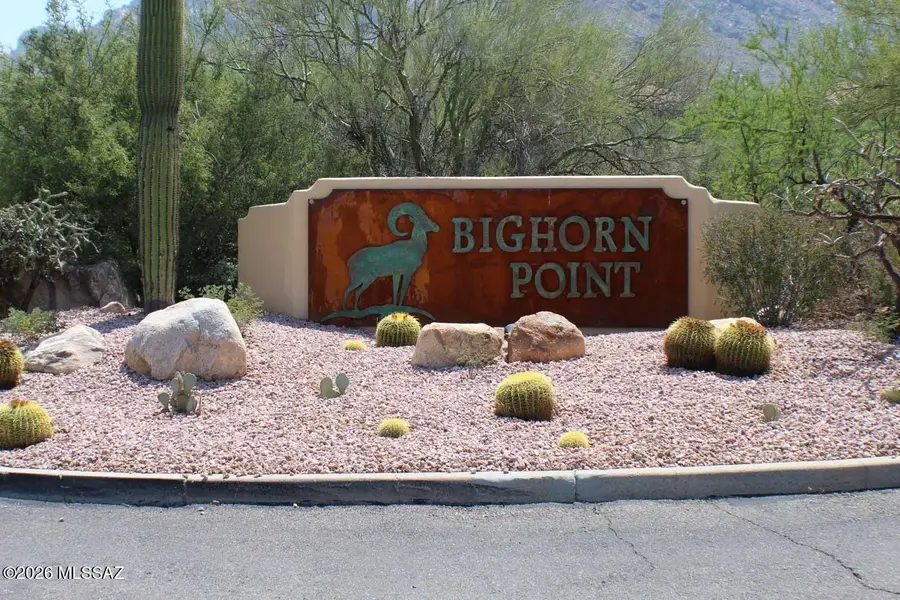 10130 N Calle Del Carnero, Oro Valley, AZ 85737 - #3