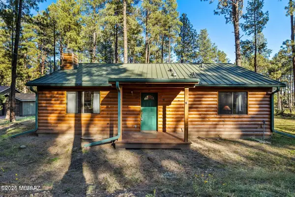 8 NE County Road 2065, Alpine, AZ 85920