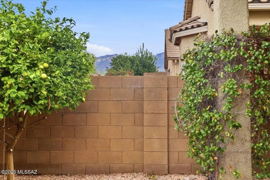 1130 W Versilia, Oro Valley, AZ 85755 - #3
