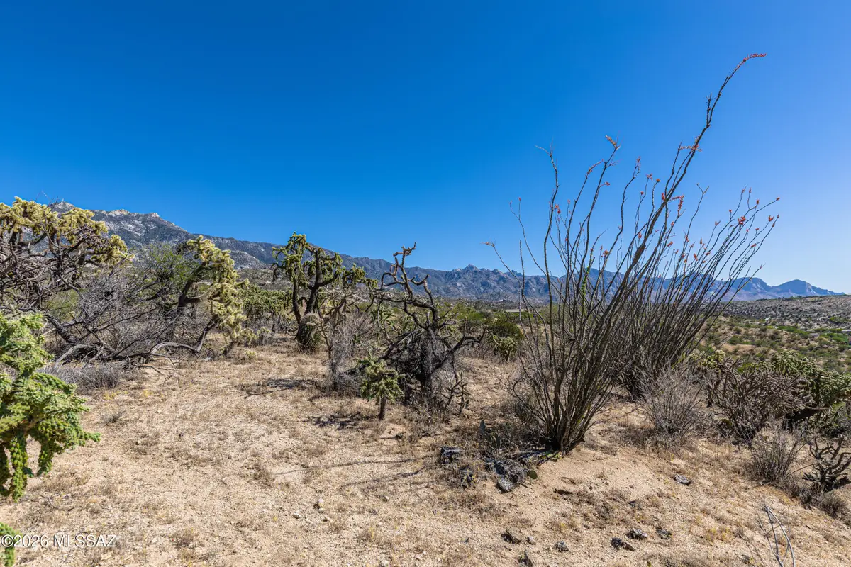 00 E Calle Jacobo, Saddlebrooke, AZ 85739 - #1
