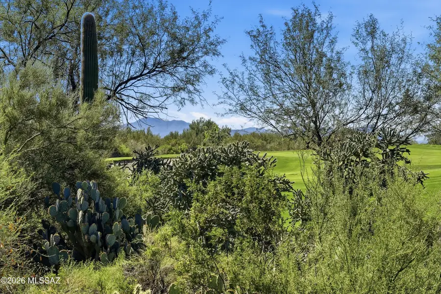 5649 W Silent Wash, Marana, AZ 85658 - #3