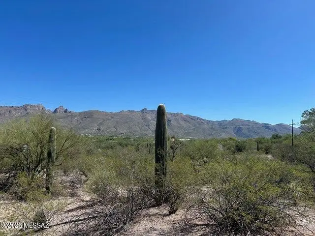 9931 E Mt Pleasant, Tucson, AZ 85749 - #3
