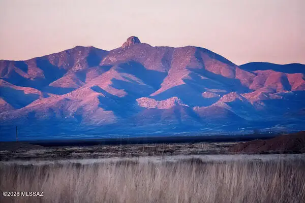 TBD S Shawn, Pearce, AZ 85625 - #1